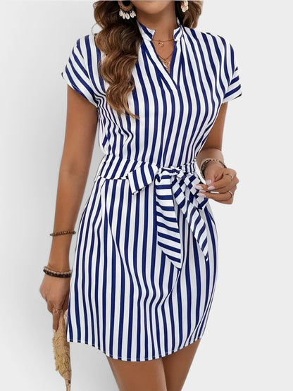 Striped Tie Waist Mini Dress