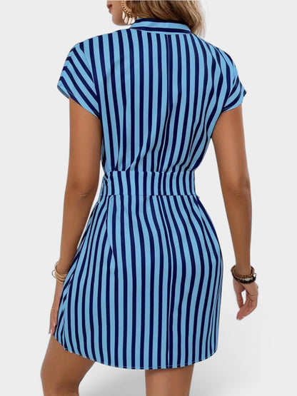 Striped Tie Waist Mini Dress
