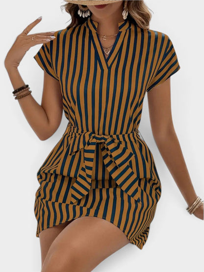 Striped Tie Waist Mini Dress