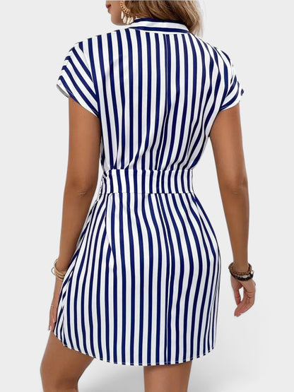 Striped Tie Waist Mini Dress