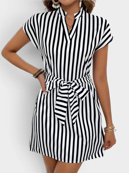 Striped Tie Waist Mini Dress
