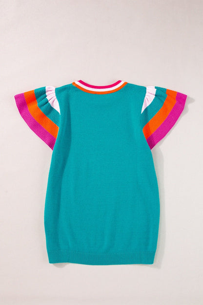 Color Block Round Neck Knit Top - Rochelle's House LLC