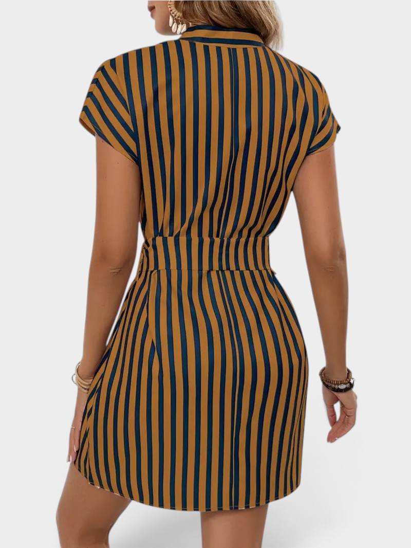 Striped Tie Waist Mini Dress