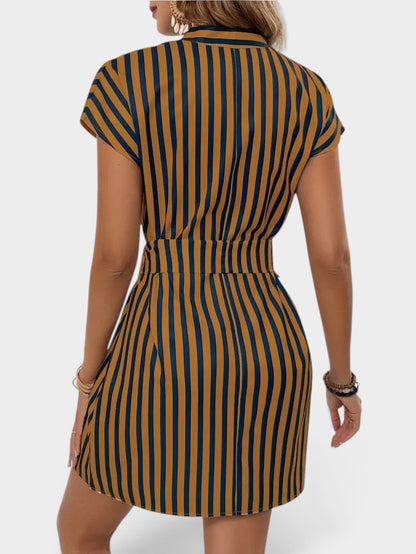 Striped Tie Waist Mini Dress