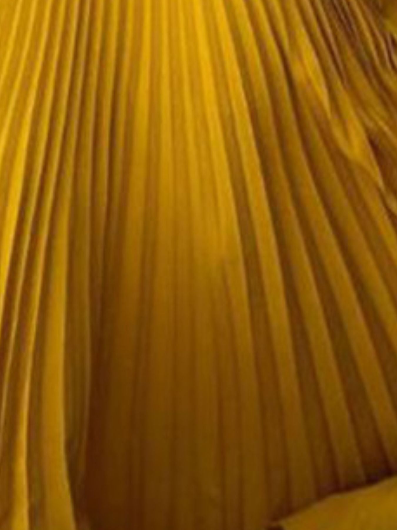 Full Size Off - Shoulder Pleated Maxi Dress Plus Size - Rochelle's House LLC