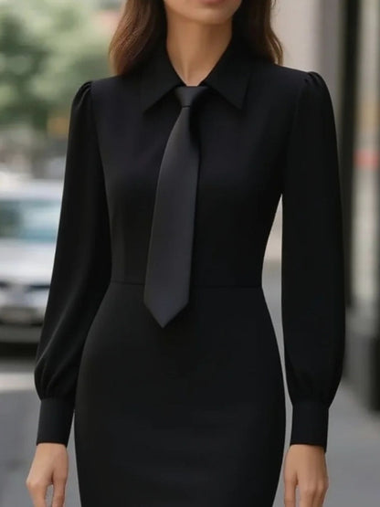 Tie - Neck Long Sleeve Dress - Rochelle's House LLC