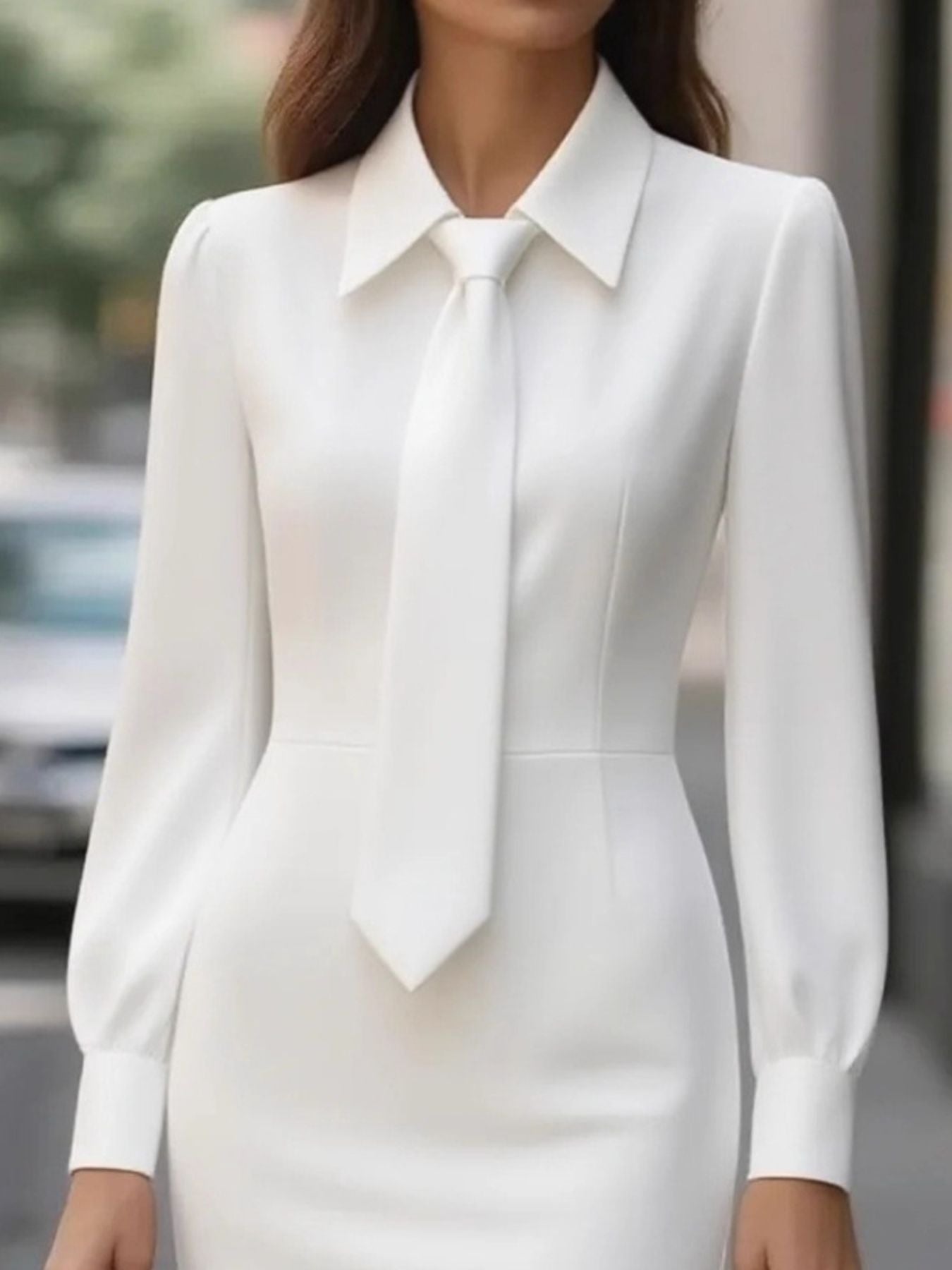 Tie - Neck Long Sleeve Dress - Rochelle's House LLC