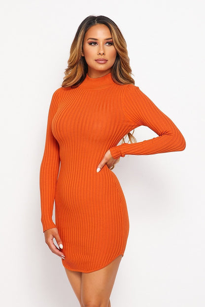 Orange Rust Knit Mock Neck Round Dress