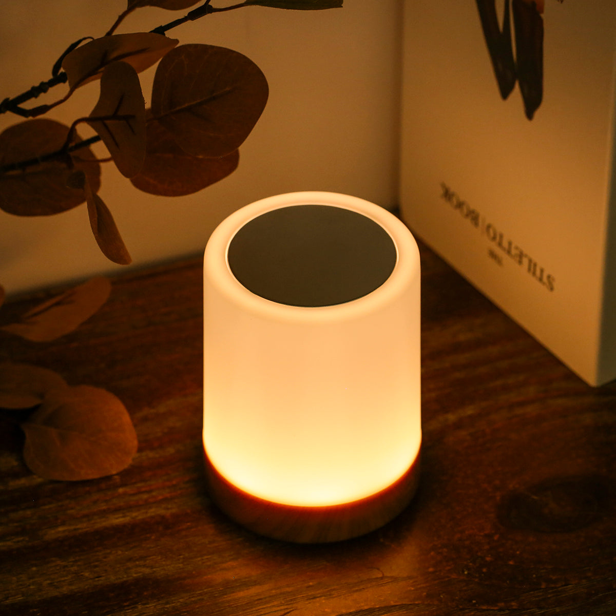 Touching Control Bedside Light
